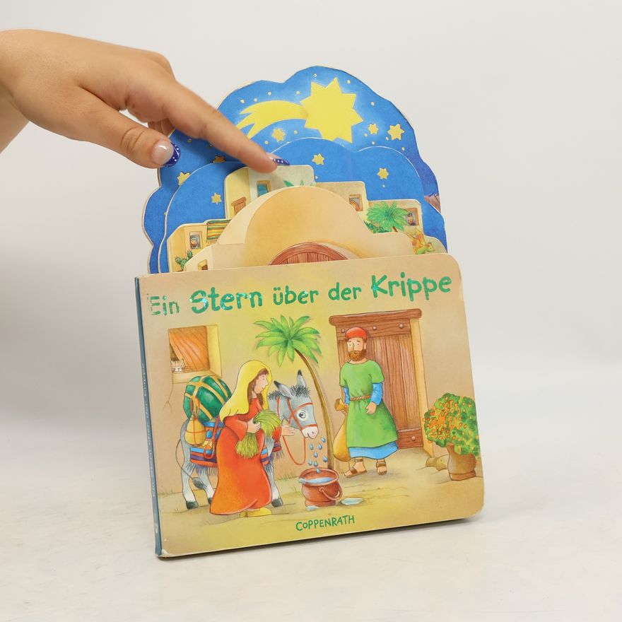 Susan Niessen Ein Stern über der Krippe
