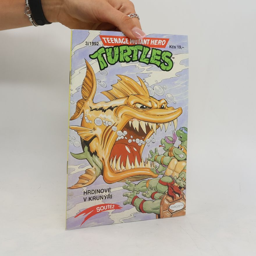 Michael Dooney Teenage Mutant Hero Turtles #03