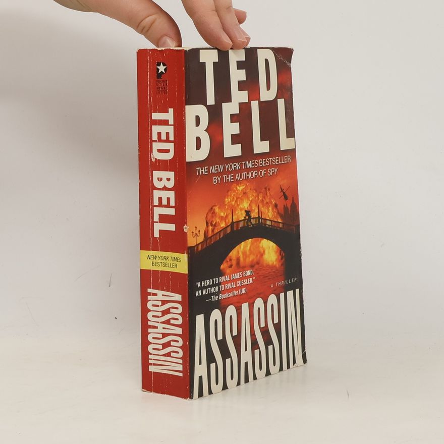 Ted Bell Assassin