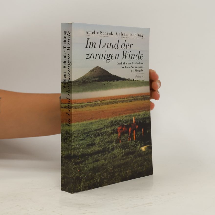 Amélie Schenk Im Land der zornigen Winde