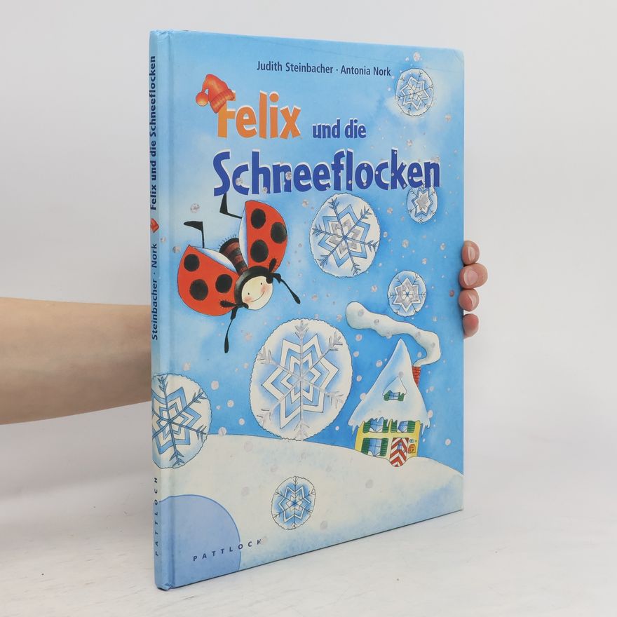 Judith Steinbacher Felix und die Schneeflocken
