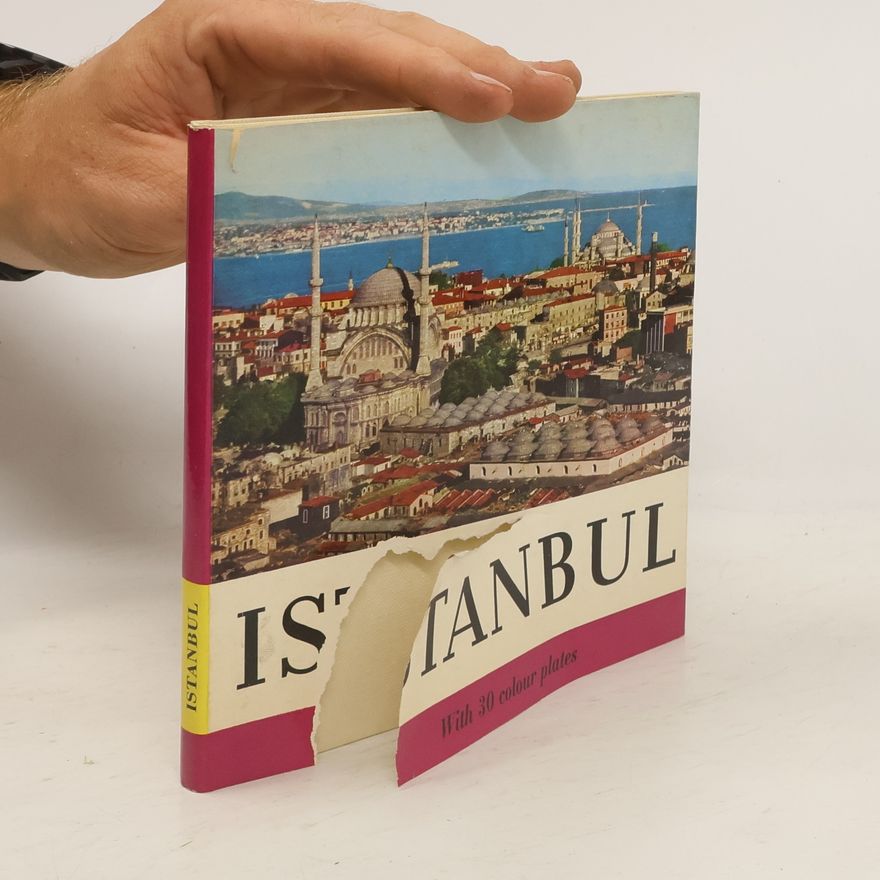 Kolektiv autorů Istanbul