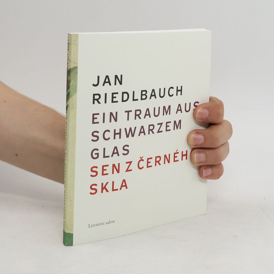 Jan Riedlbauch Ein Traum aus schwarzem Glas/Sen z černého skla