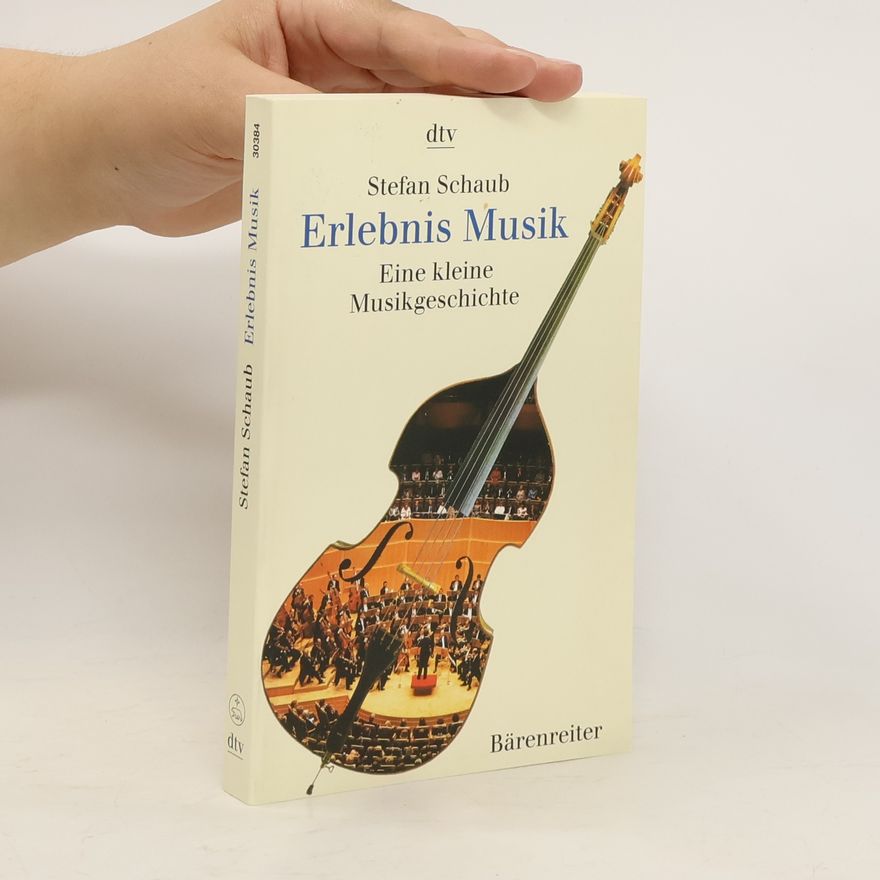 Stefan Schaub Erlebnis Musik