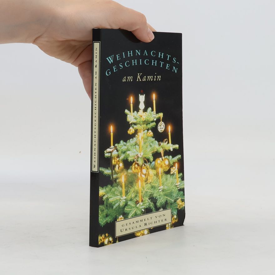 AA.VV. Weihnachtsgeschichten am Kamin