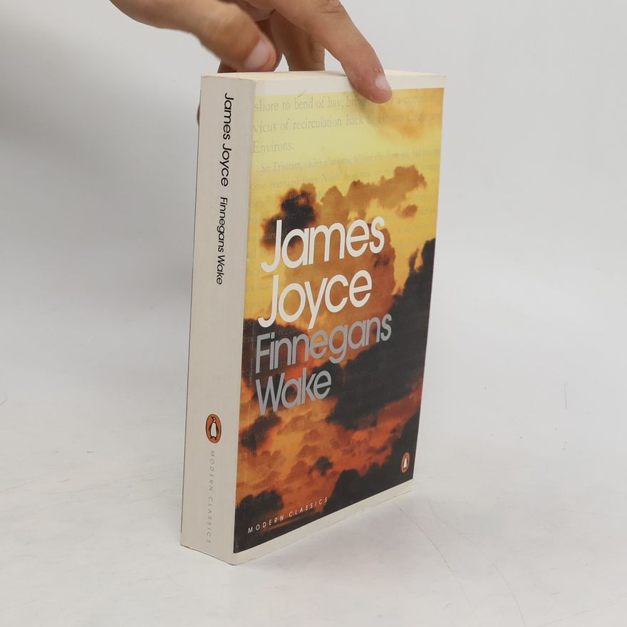 James Joyce Finnegans wake