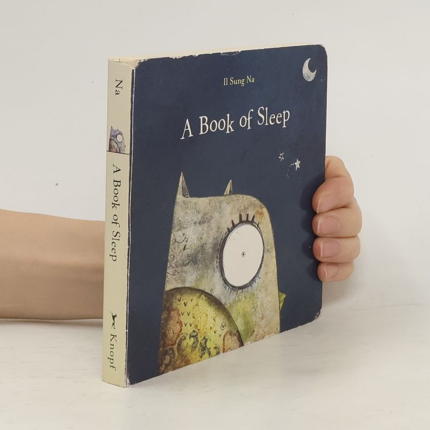Il Sung Na A Book of Sleep