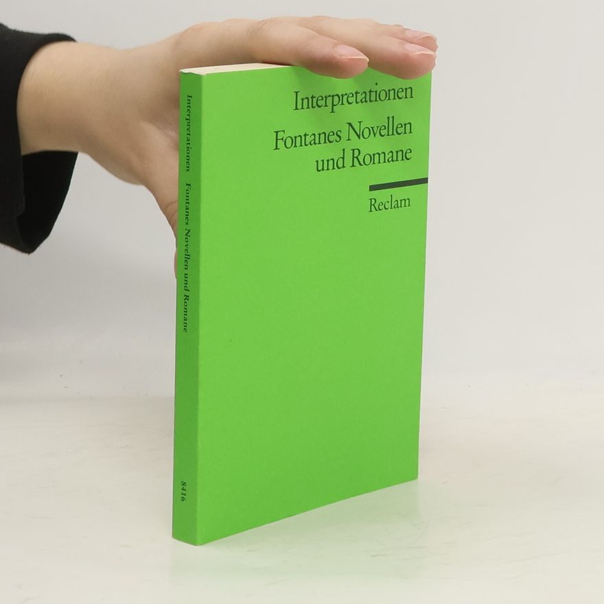 Christian Grawe Fontanes Novellen und Romane