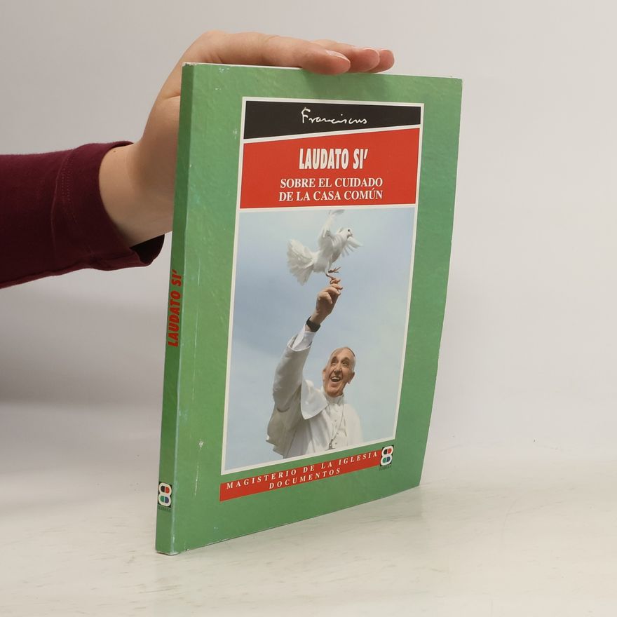 Papst Franziskus Laudato si'