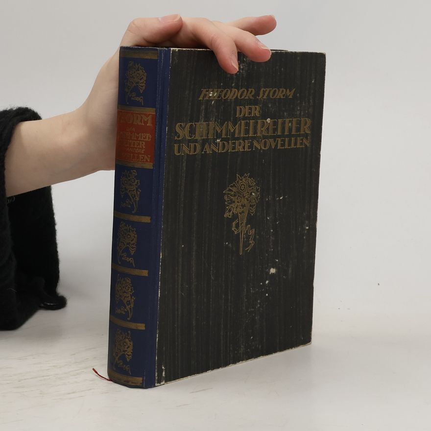 Theodor Storm Der Schimmelreiter und andere Novellen