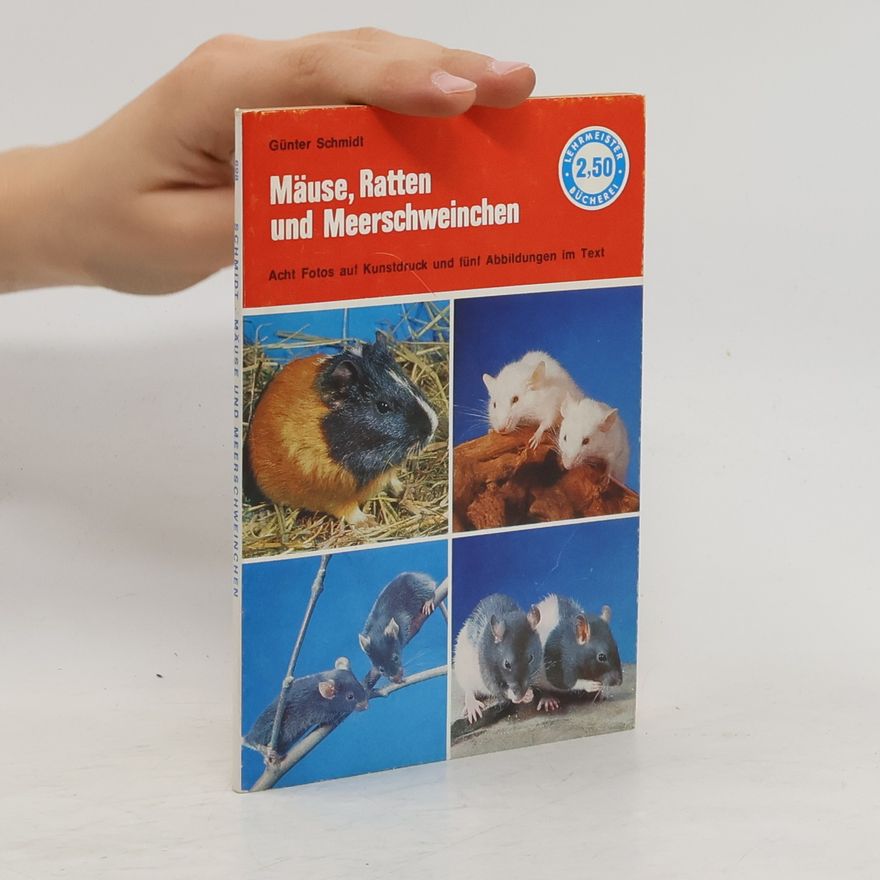 Günter Schmidt Meerschweinchen