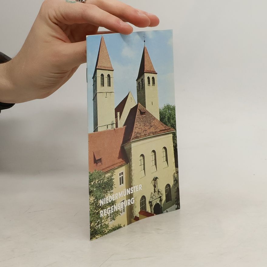 Kolektiv autorů Niedermünster Regensburg