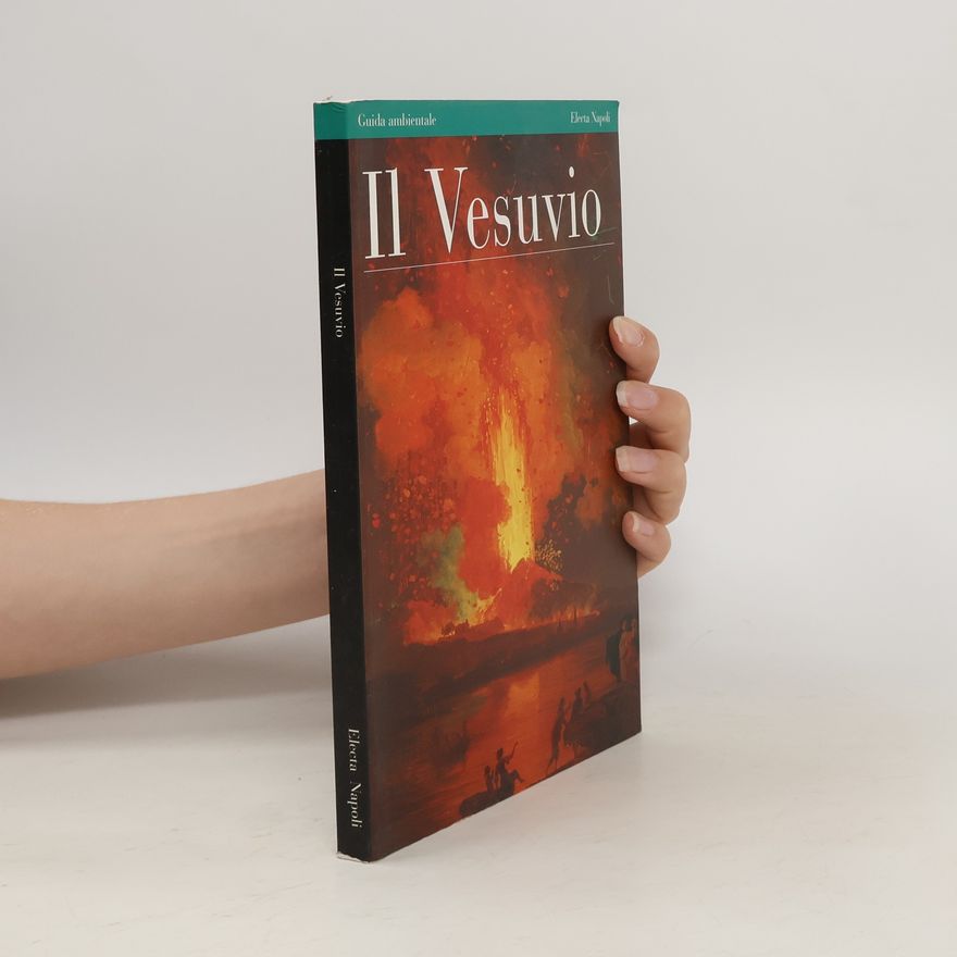 Nicola Di Fusco Il Vesuvio