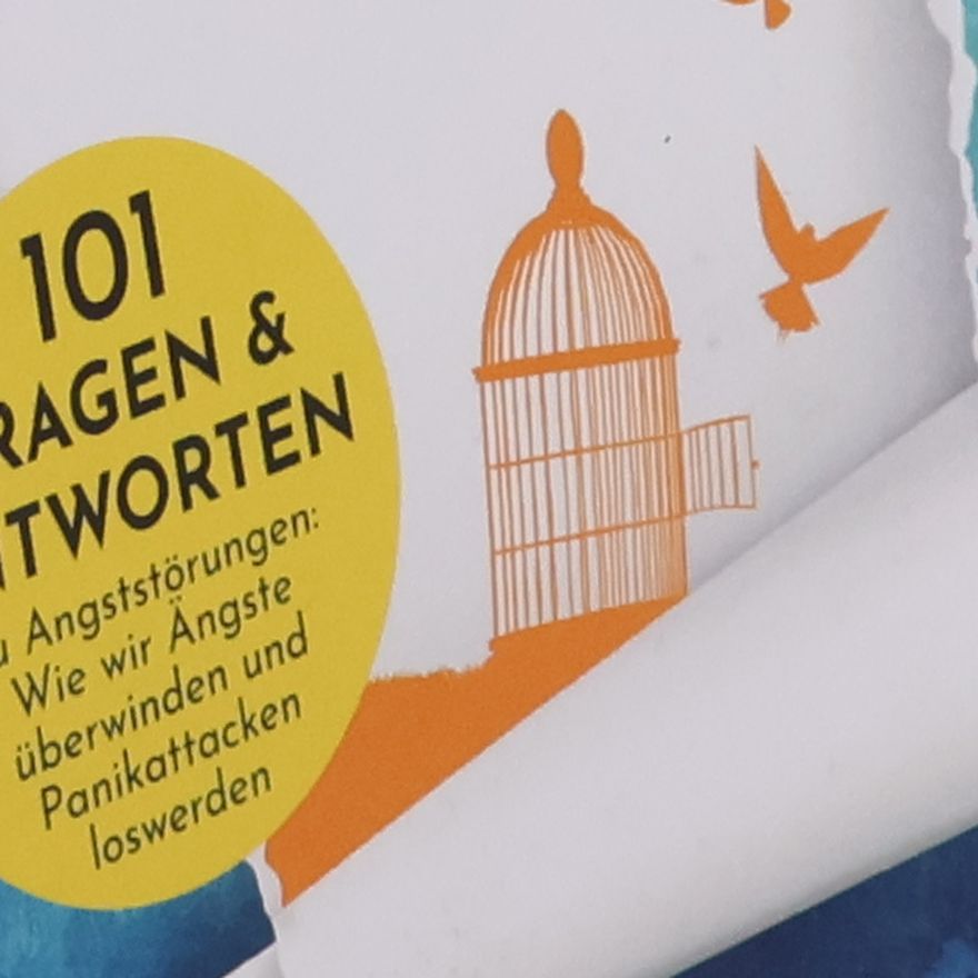 Alex Licht Der Tag an dem die Angst verschwand
