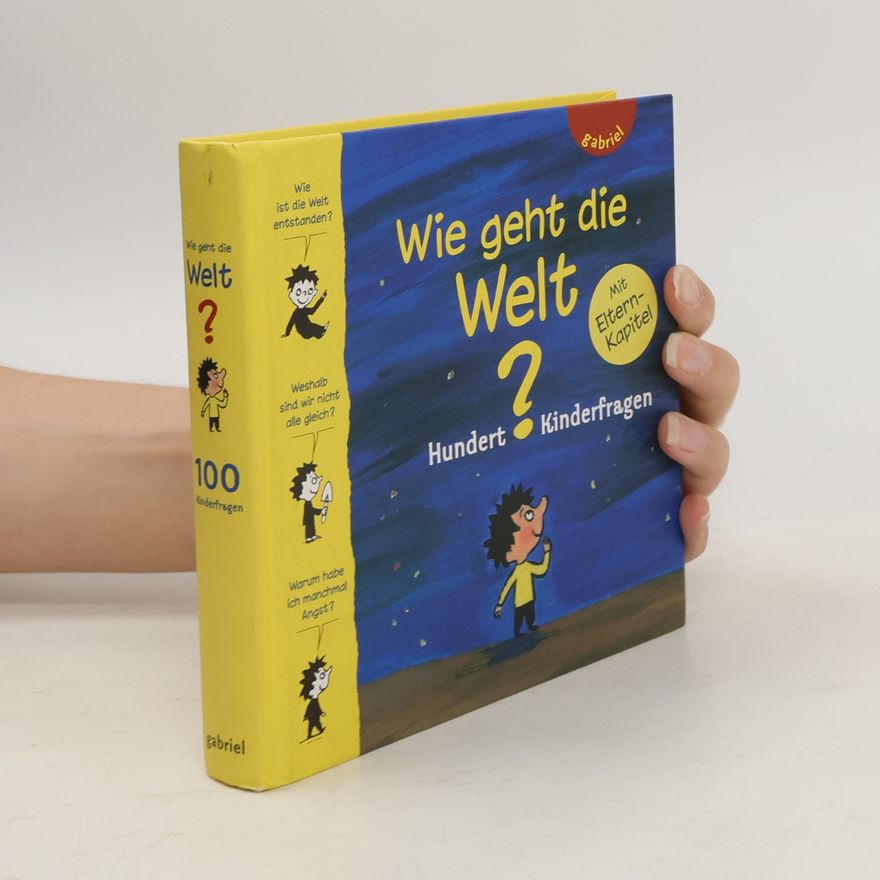 Matthieu de Laubier Wie geht die Welt?