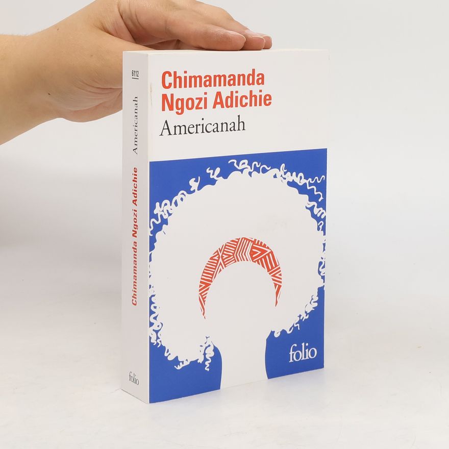 Chimamanda Ngozi Adichie Americanah
