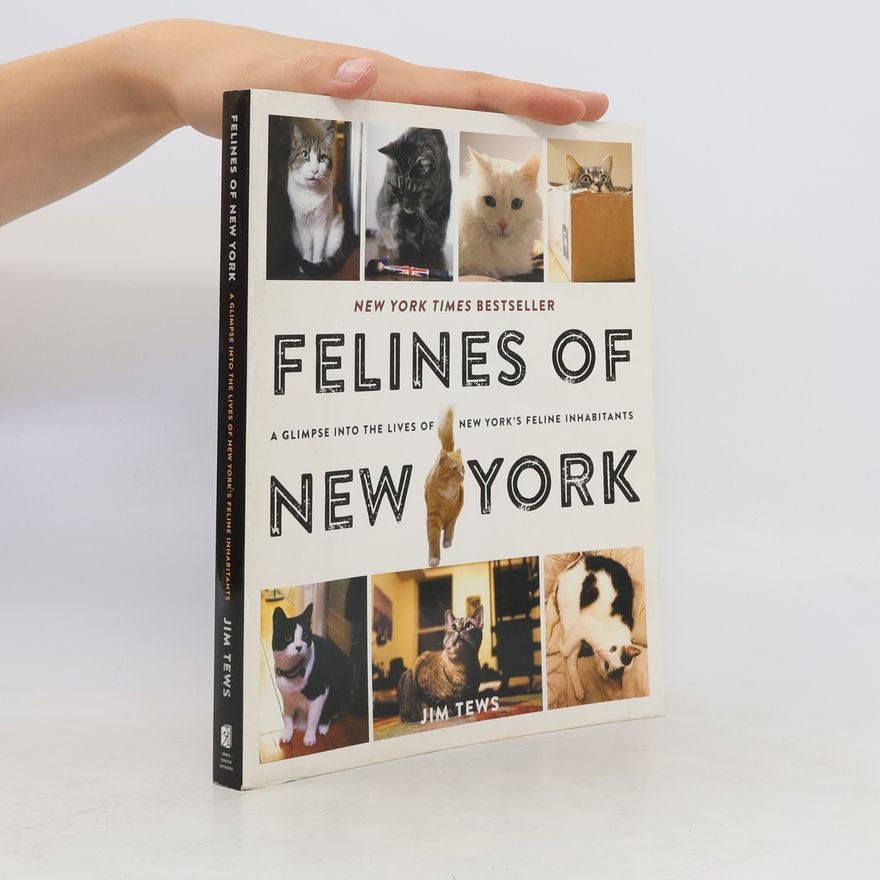 Jim Tews Felines of New York