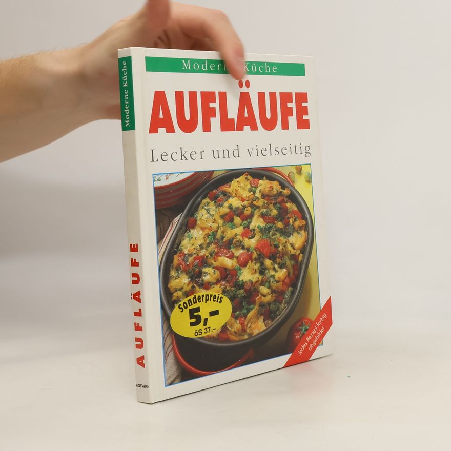 Kolektiv autorů Aufläufe