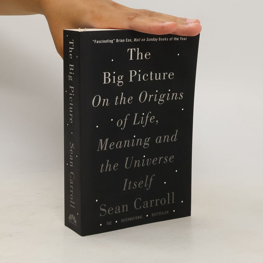 Sean M. Carroll The big picture