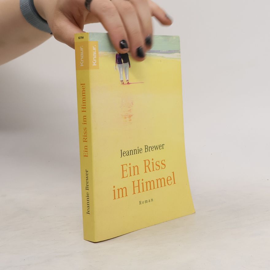 Jeannie Brewer Ein Riss im Himmel