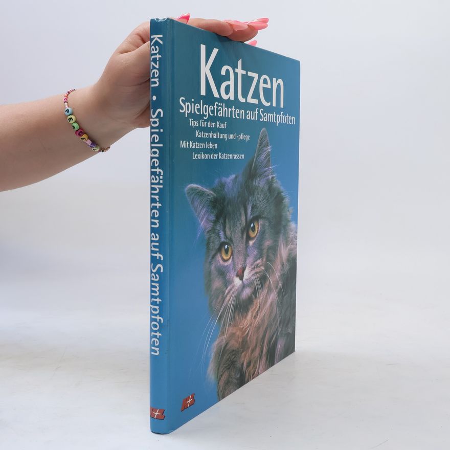 Autorenkollektiv Katzen. Spielgefährten auf Samtpfoten