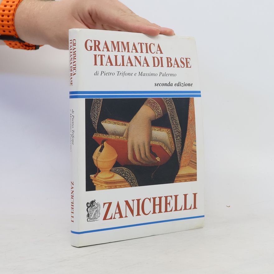 Massimo Palermo Grammatica italiana di base