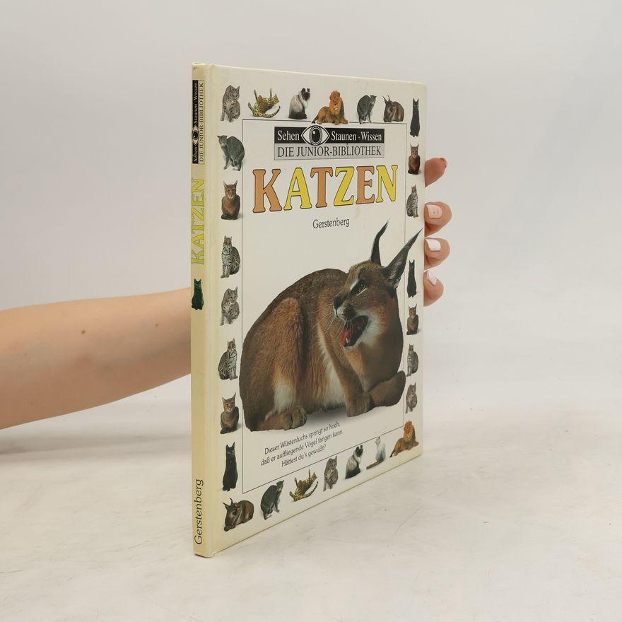 Margot Wilhelmi Katzen