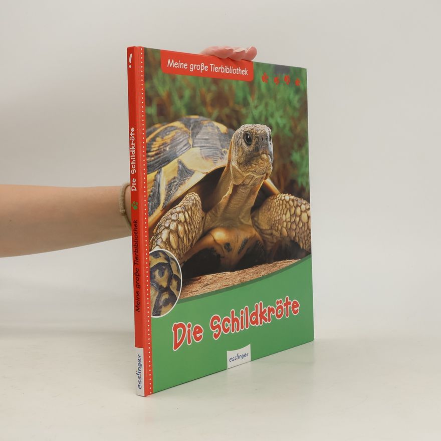 Paul Starosta Die Schildkröte