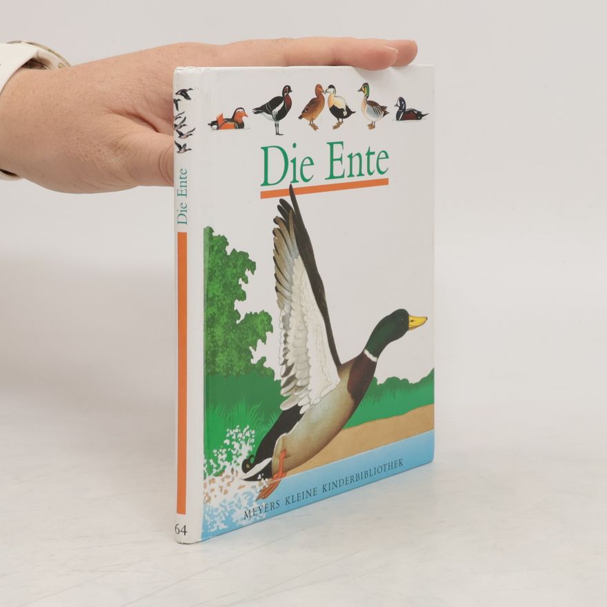 Henri Galeron Die Ente