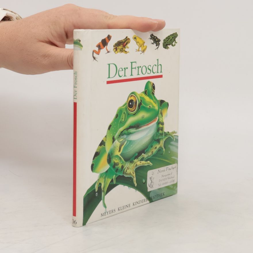 Daniel Moignot Der Frosch
