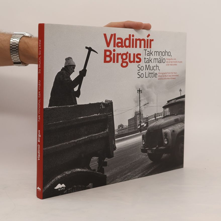 Vladimír Birgus Tak mnoho, tak málo/So Much, So Little