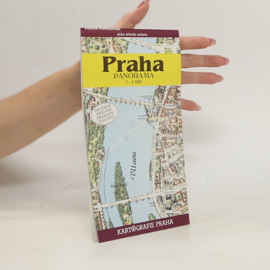 Kolektiv autorů Praha Panorama 1:5 000