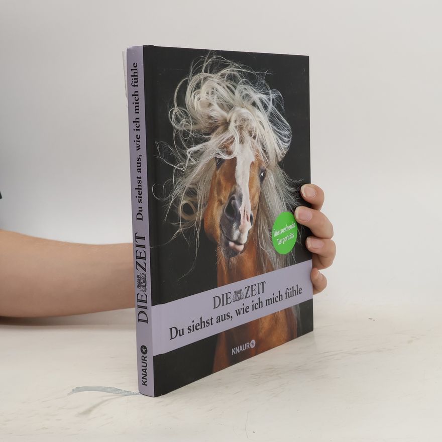 Malin Schulz Die Zeit - Du Siehst Aus, Wie Ich Mich Fühle