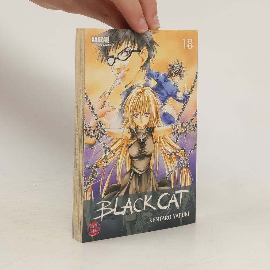 Kentaro Yabuki Black Cat 18