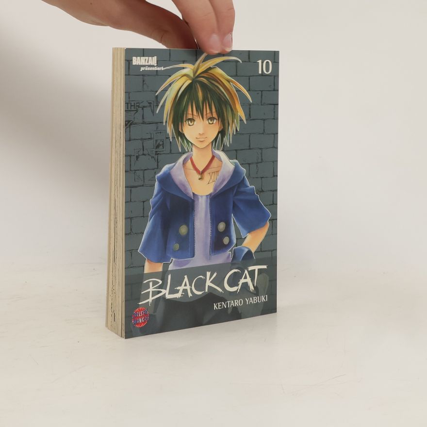 Kentaro Yabuki Black Cat 10