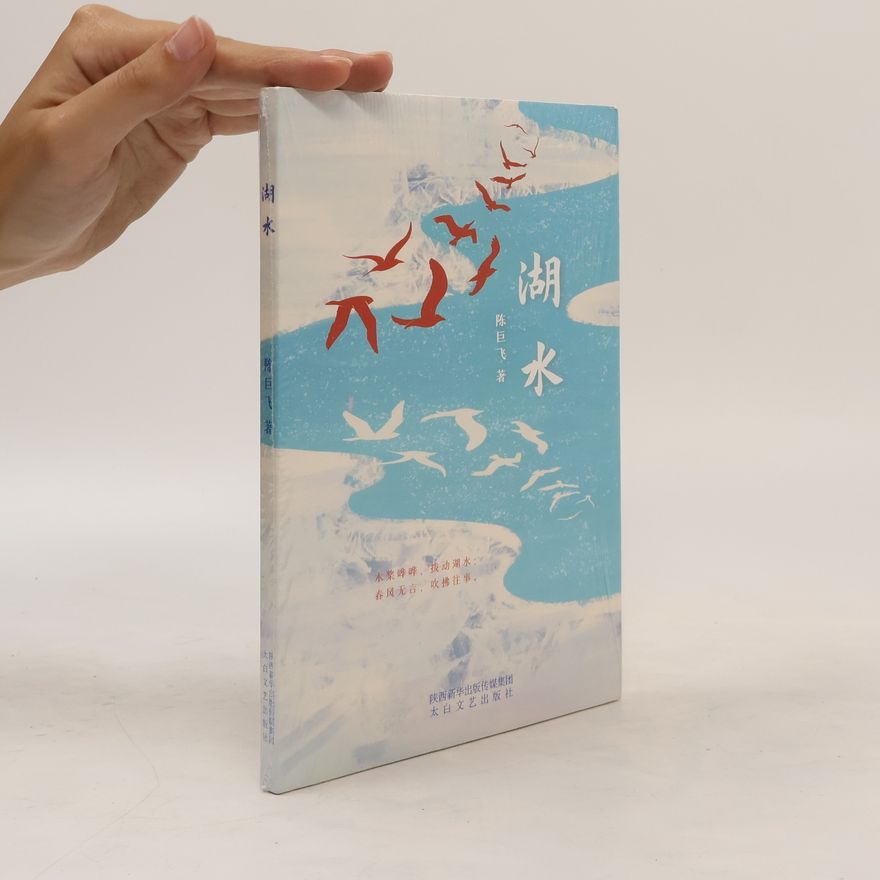 陈巨飞 湖水