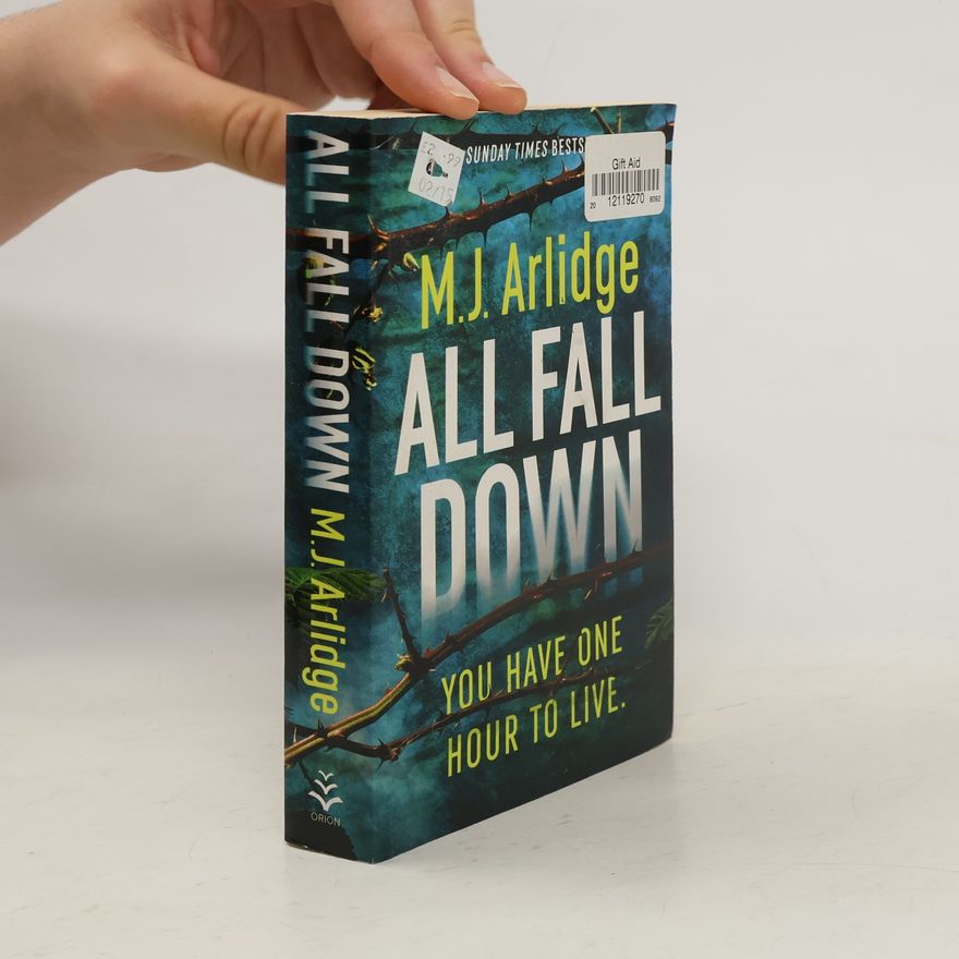 M. J. Arlidge All Fall Down