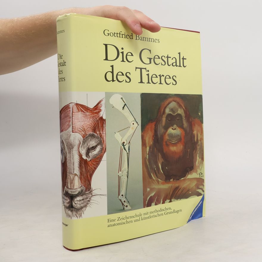 Gottfried Bammes Die Gestalt des Tieres