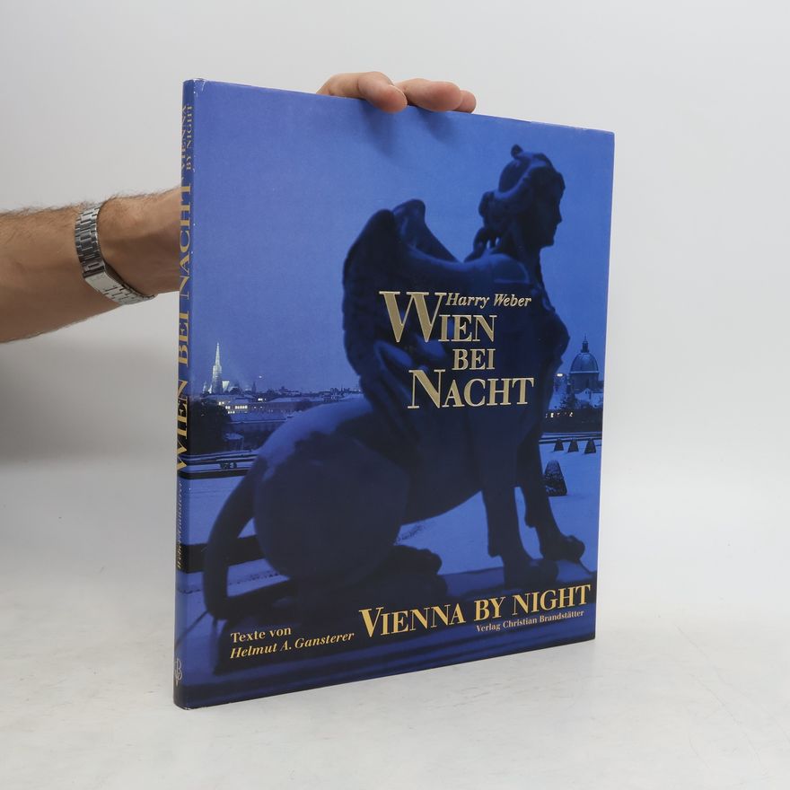 Harry Weber Wien bei Nacht