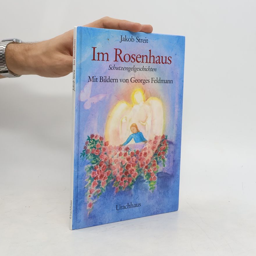 Georges Feldmann Im Rosenhaus. Schutzengelgeschichten