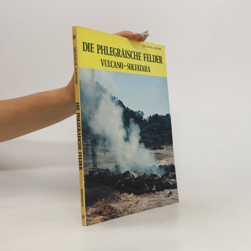 Autorenkollektiv Die phlegräische Felder. Vulcano-Solfatara