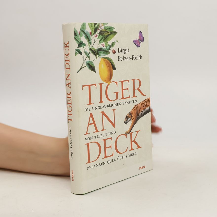 Birgit Pelzer Reith Tiger an Deck