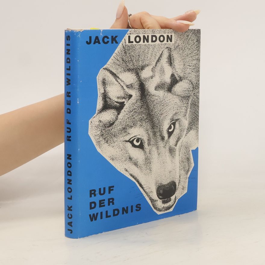 Jack London Ruf der Wildnis