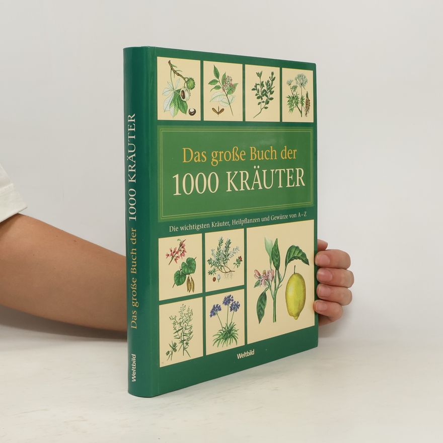 Hans W. Kothe 1000 Kräuter