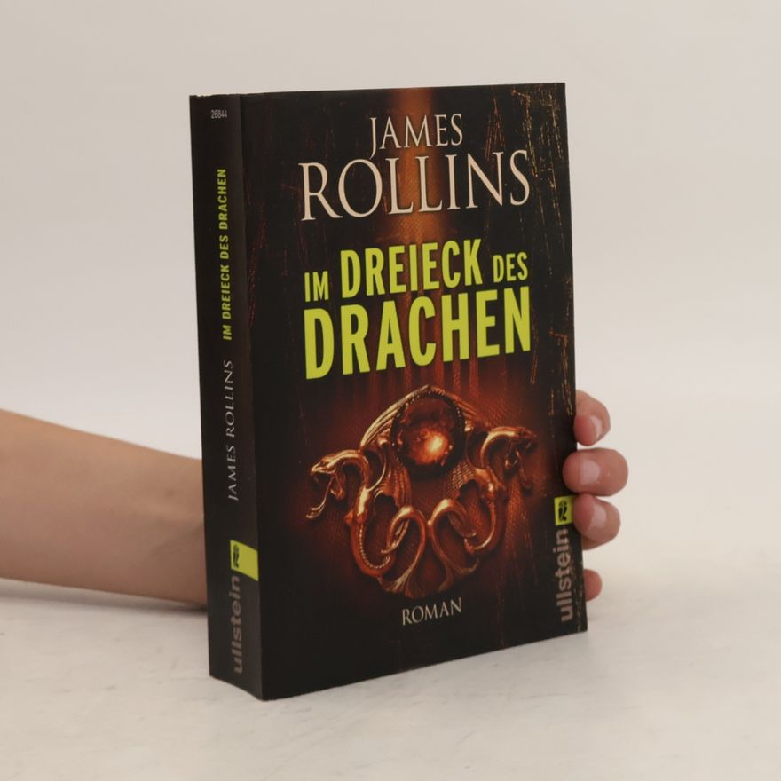James Rollins Im Dreieck des Drachen