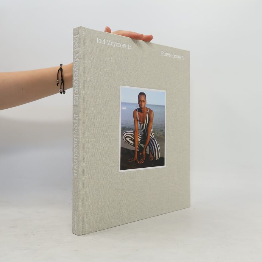 Joel Meyerowitz Joel Meyerowitz