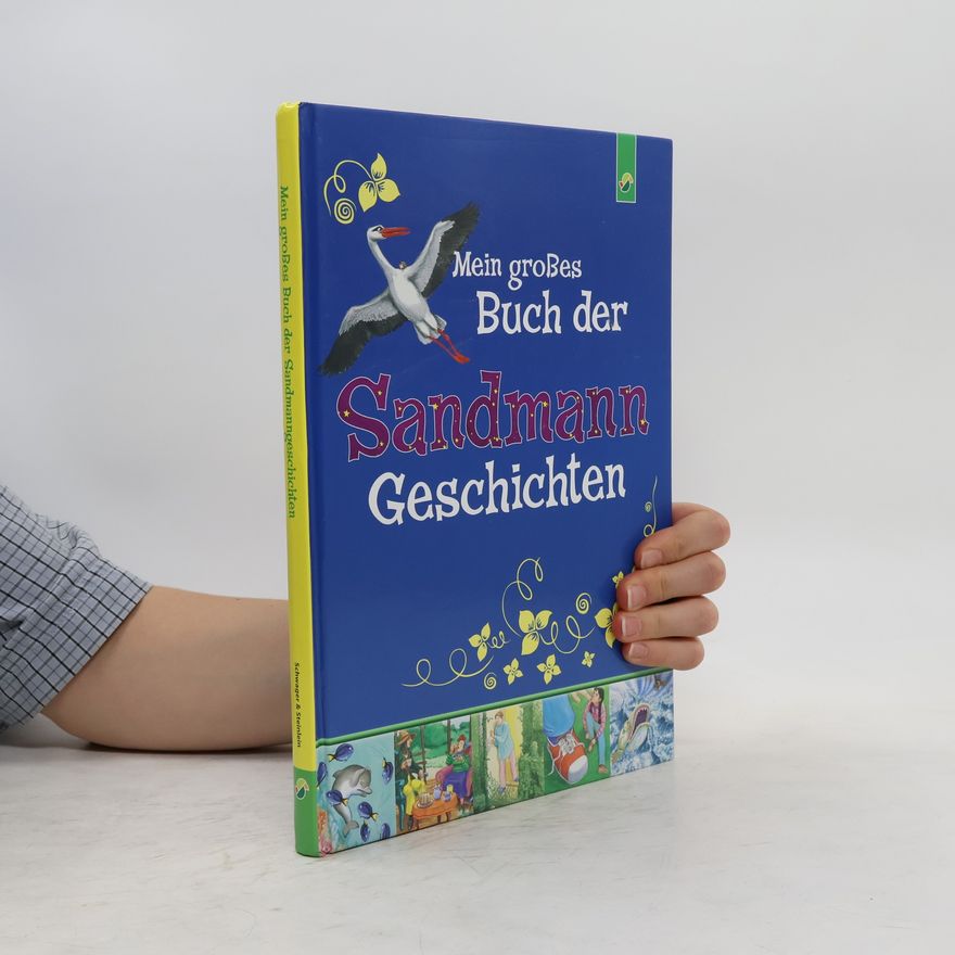 Peter Friedl Mein großes Buch der Sandmann-Geschichten