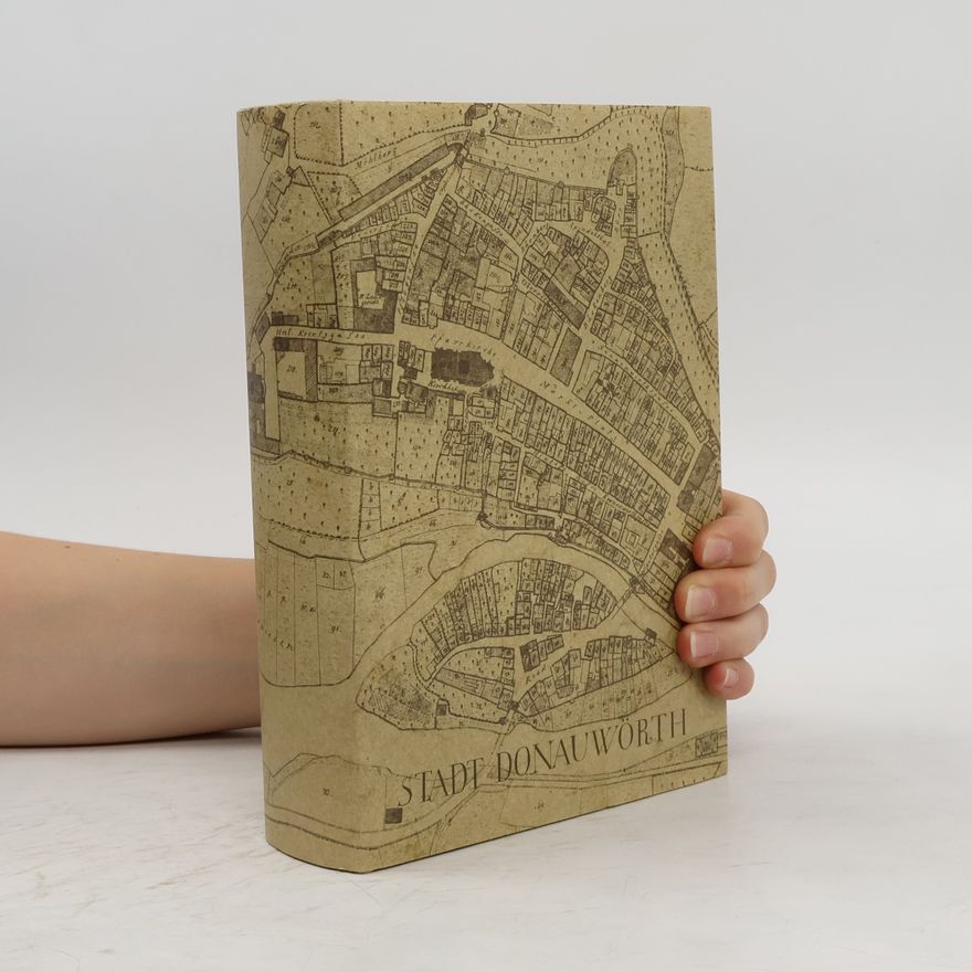 Maria Zelzer Geschichte der Stadt Donauwörth