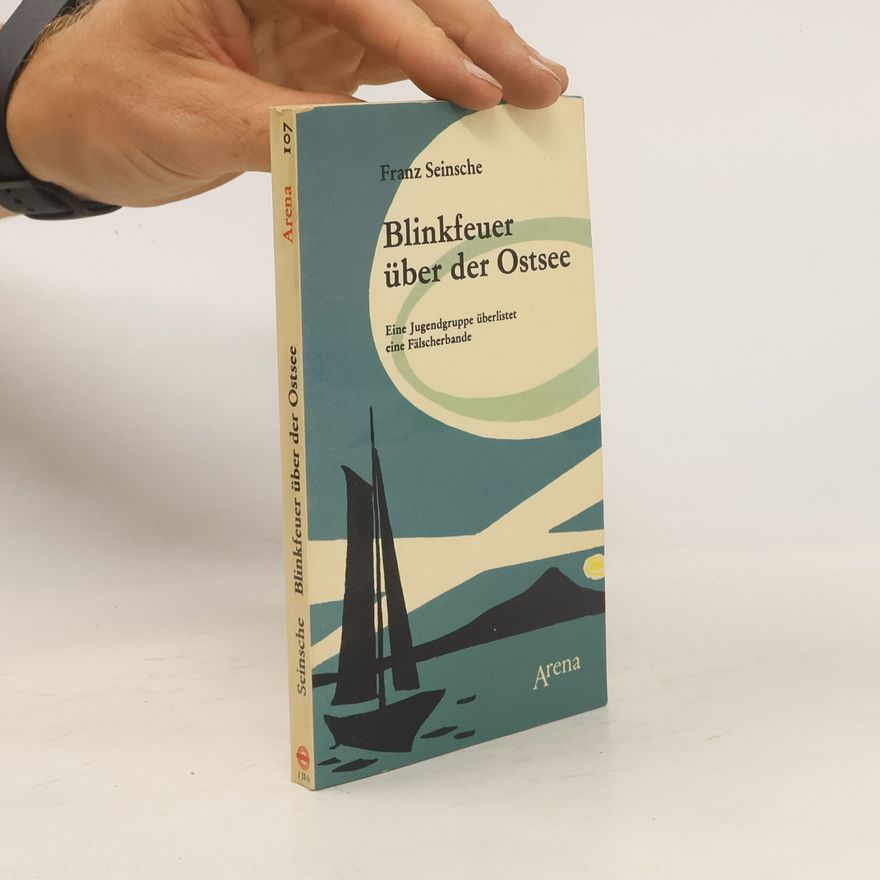 Franz Seinsche Blinkfeuer über der Ostsee