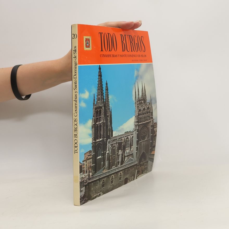 Various authors Todo Burgos